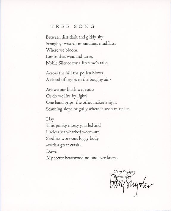 Item #SKB-13657 Tree Song. Gary SNYDER.