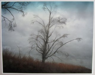 Item #SKB-17647 Original signed print from A Road Divided. Todd HIDO